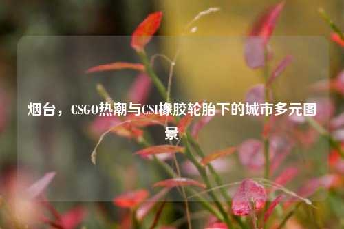 烟台，CSGO热潮与CSI橡胶轮胎下的城市多元图景