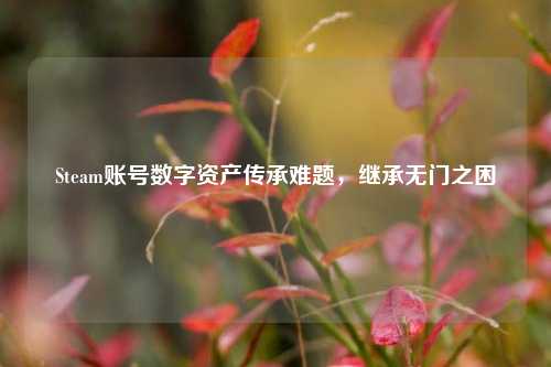 Steam账号数字资产传承难题，继承无门之困