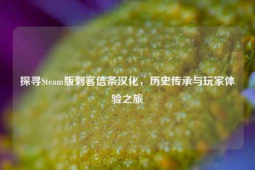 探寻Steam版刺客信条汉化，历史传承与玩家体验之旅