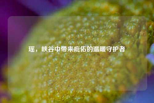瑶，峡谷中带来庇佑的温暖守护者