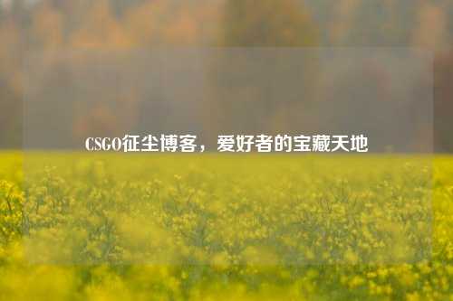 CSGO征尘博客，爱好者的宝藏天地