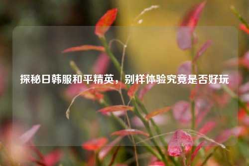 探秘日韩服和平精英，别样体验究竟是否好玩