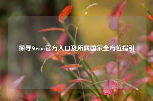 探寻Steam官方入口及所属国家全方位指引