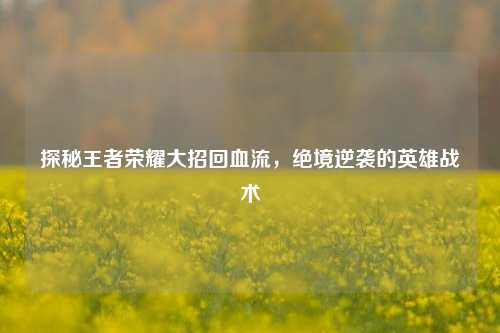 探秘王者荣耀大招回血流，绝境逆袭的英雄战术