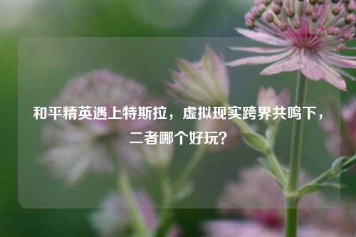 和平精英遇上特斯拉,虚拟现实跨界共鸣下,二者哪个好玩?