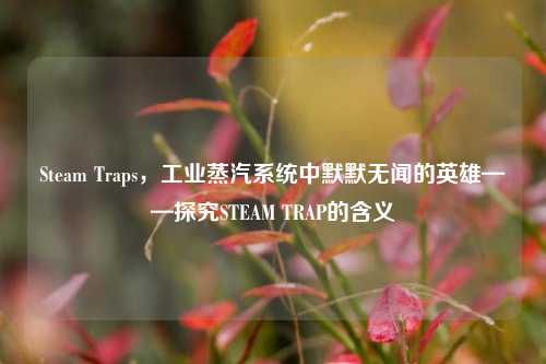 Steam Traps,工业蒸汽系统中默默无闻的英雄——探究STEAM TRAP的含义