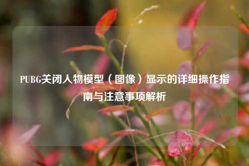 PUBG关闭人物模型(图像)显示的详细操作指南与注意事项解析