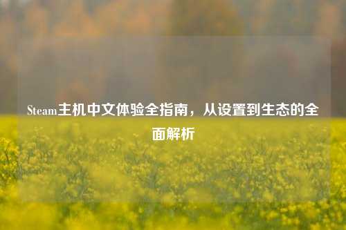 Steam主机中文体验全指南,从设置到生态的全面解析