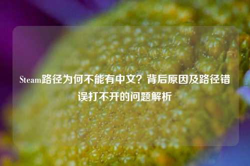 Steam路径为何不能有中文?背后原因及路径错误打不开的问题解析