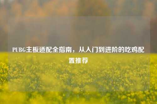 PUBG主板适配全指南,从入门到进阶的吃鸡配置推荐