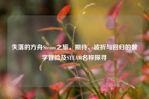 失落的方舟Steam之旅,期待、波折与回归的数字冒险及STEAM名称探寻