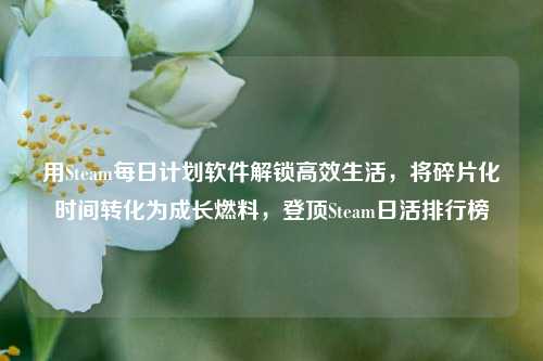 用Steam每日计划软件解锁高效生活,将碎片化时间转化为成长燃料,登顶Steam日活排行榜