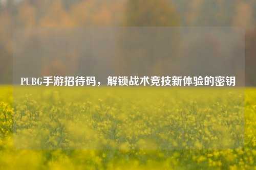 PUBG手游招待码,解锁战术竞技新体验的密钥