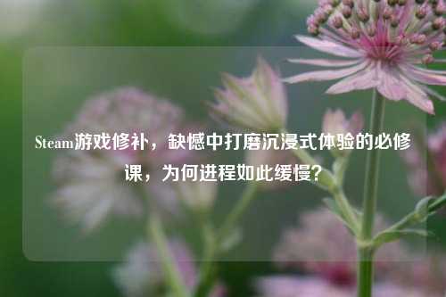 Steam游戏修补,缺憾中打磨沉浸式体验的必修课,为何进程如此缓慢?