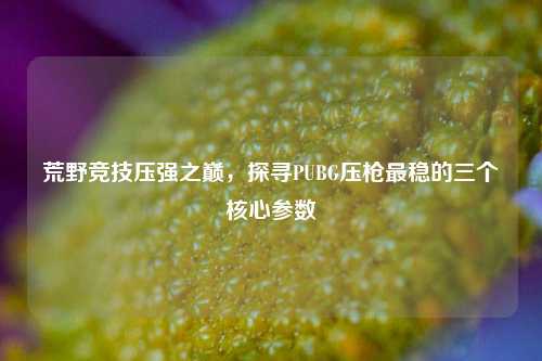 荒野竞技压强之巅,探寻PUBG压枪最稳的三个核心参数