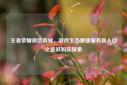 王者荣耀微信商城,游戏生态便捷服务新入口之皮肤购买探索
