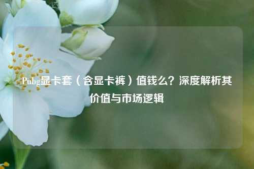 Pubg显卡套(含显卡裤)值钱么?深度解析其价值与市场逻辑