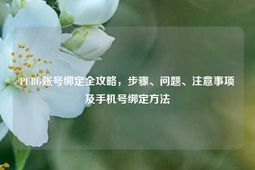 PUBG账号绑定全攻略,步骤、问题、注意事项及手机号绑定方法