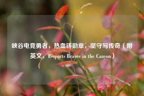 峡谷电竞勇者,热血铸勋章,坚守写传奇(附英文,E-sports Braves in the Canyon)