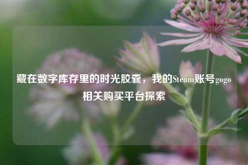 藏在数字库存里的时光胶囊,我的Steam账号gogo相关购买平台探索