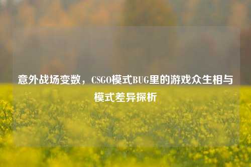 意外战场变数,CSGO模式BUG里的游戏众生相与模式差异探析