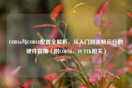 COD16与COD18配置全解析,从入门到流畅运行的硬件指南(附COD16、19 TTK相关)