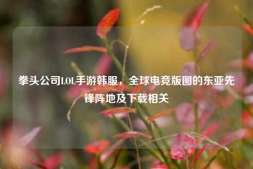 拳头公司LOL手游韩服,全球电竞版图的东亚先锋阵地及下载相关