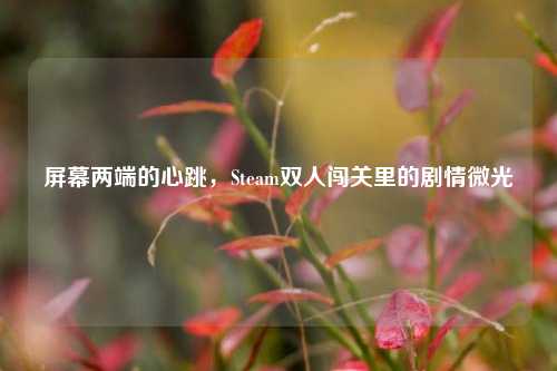 屏幕两端的心跳,Steam双人闯关里的剧情微光