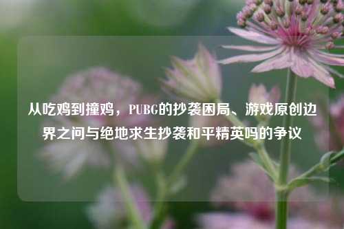 从吃鸡到撞鸡,PUBG的抄袭困局、游戏原创边界之问与绝地求生抄袭和平精英吗的争议
