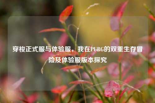 穿梭正式服与体验服,我在PUBG的双重生存冒险及体验服版本探究