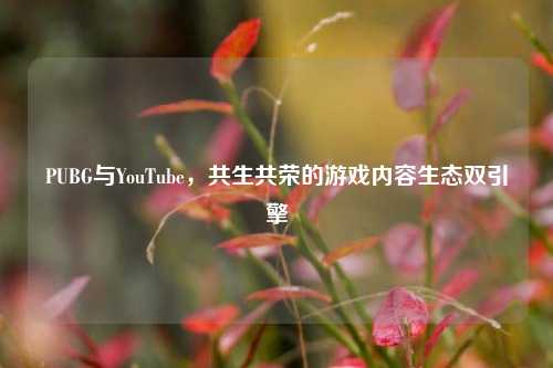 PUBG与YouTube,共生共荣的游戏内容生态双引擎