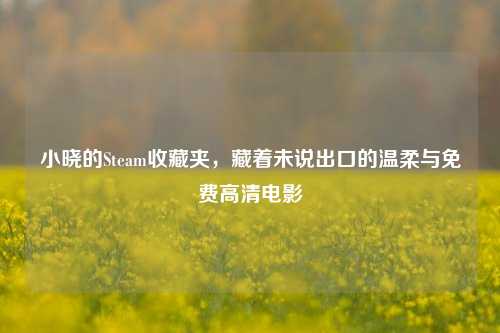 小晓的Steam收藏夹,藏着未说出口的温柔与免费高清电影